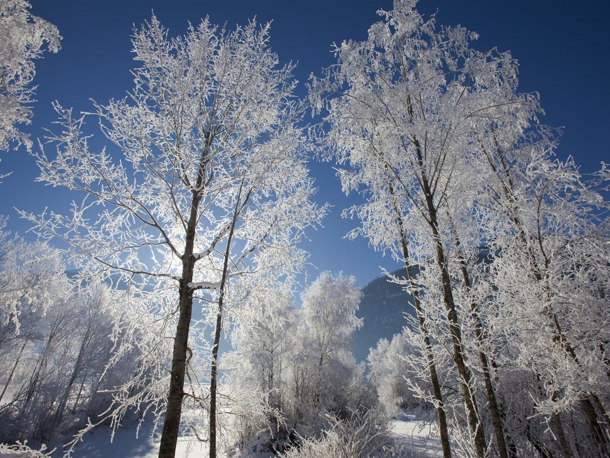 Holiday Home In Ski Area In มิทเทอร์ซิลล์ ภายนอก รูปภาพ